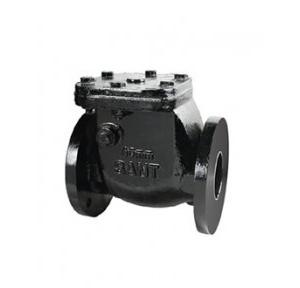 Sant Cast Iron Reflux Valve (Non-Return) 300 mm, CR 31A